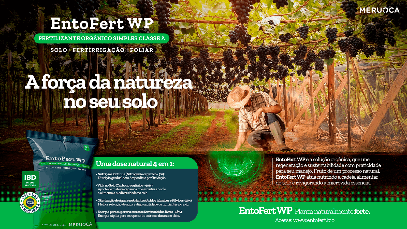 EntoFert WP